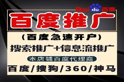 百度竞价排名服务助力：某品牌迅速占领市场